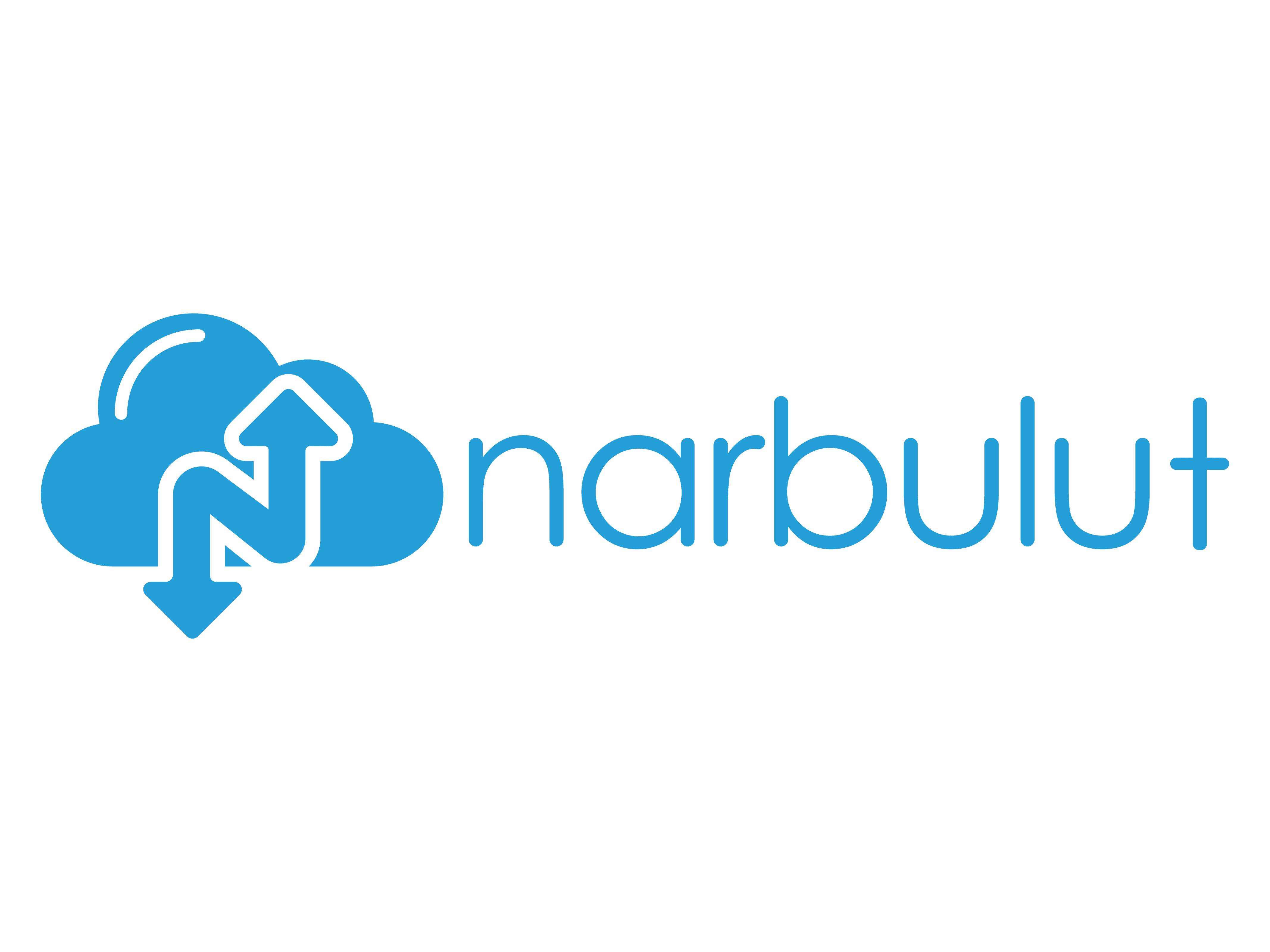 NarBulut
